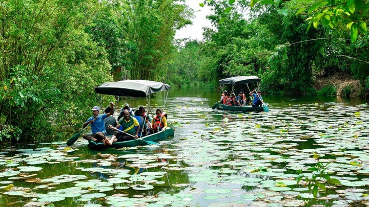 Diyasaru Park: Timings, Tickets and Attractions