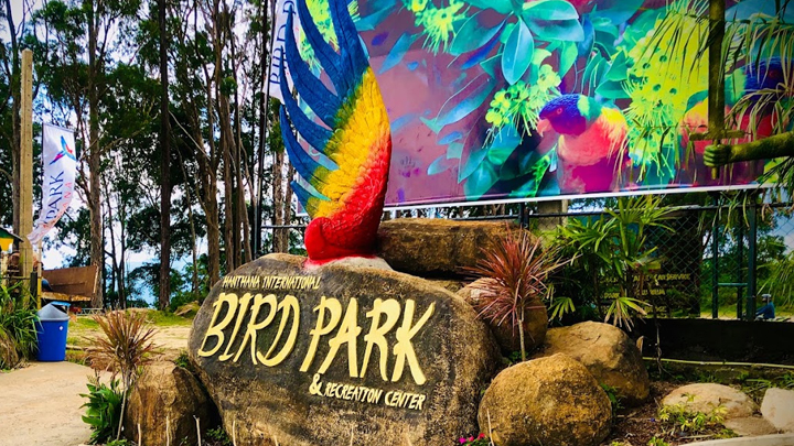 Hanthana Bird Park: How to Reach, Timings & Attractions