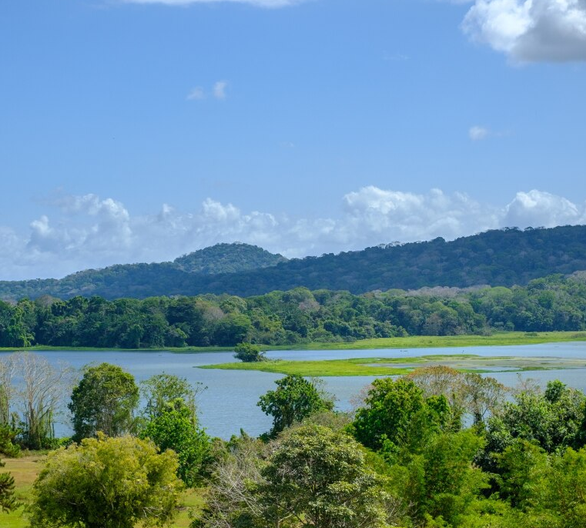 Gregory Lake