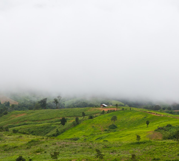 Horton Plains