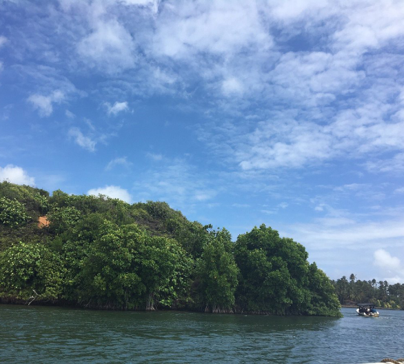 Koggala Lake