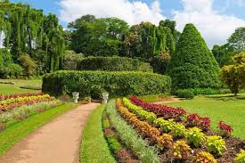 Peradeniya Botanical Garden