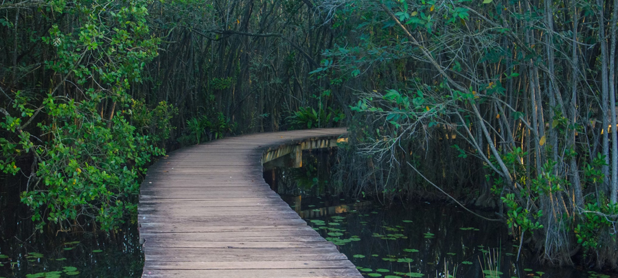 Beddagana-Wetland-Park