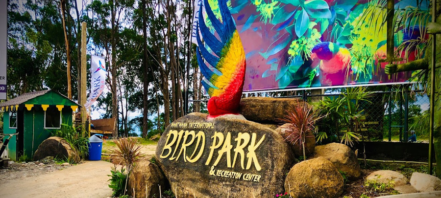 Hanthana Bird Park