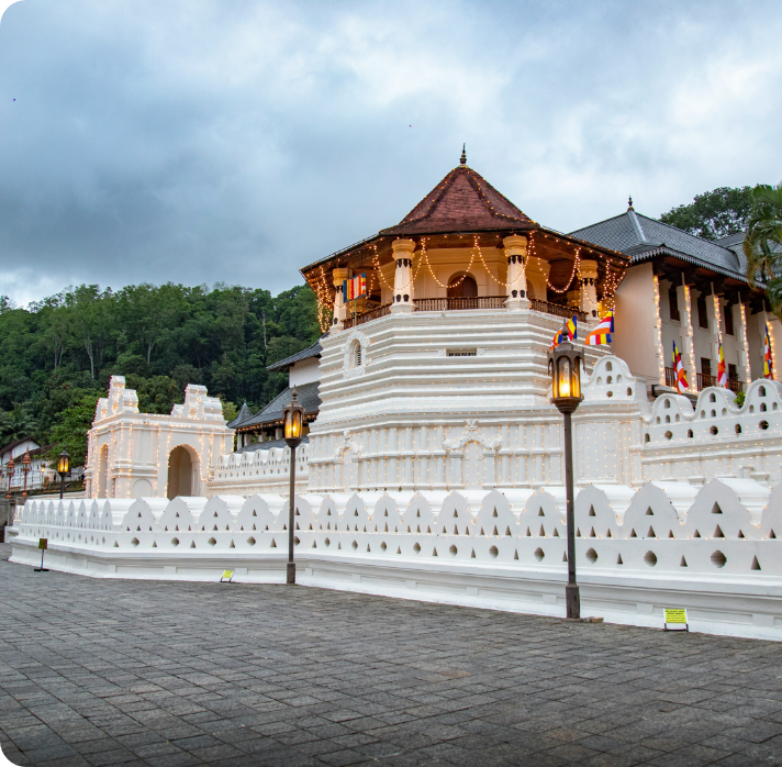 Kandy tour from colombo