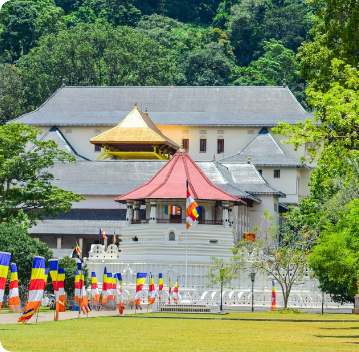 Kandy city sightseeing tour