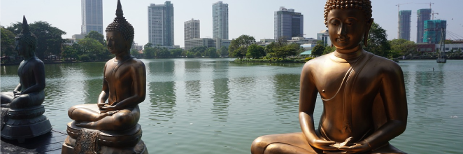 Buddha statues with a backdrop of Colombo city