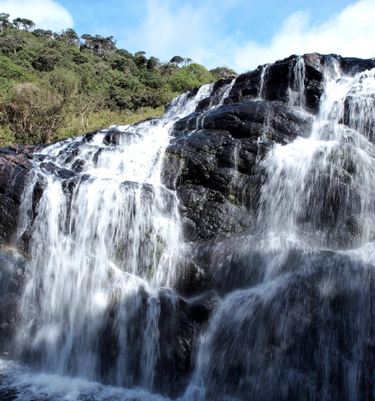 Kandy Day Tour