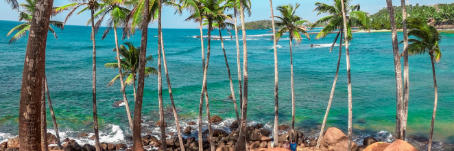 View from the top of Coconut Tree Hill in Mirissa