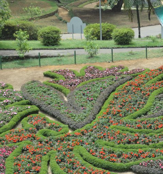 Nuwara Eliya City Sightseeing Tour
