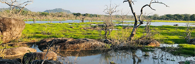 A capture of natural lakes located in Yala