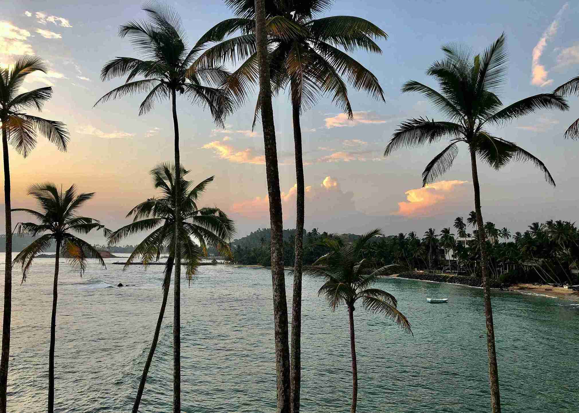 View of the ocean from coconut hill at Mirissa