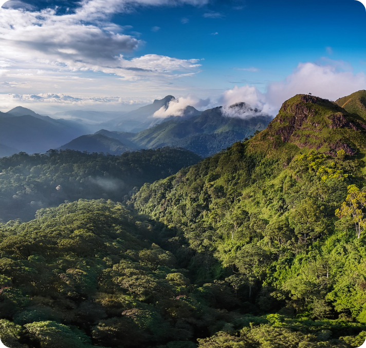 Sinharaja Forest