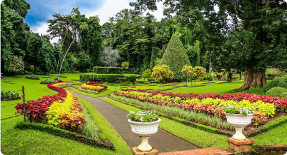 Hakgala Botanical Garden